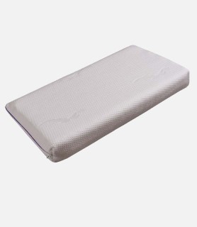 Werkmeister / Talalay-Latexkissen L8